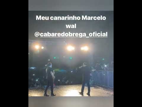 Cabaré Do Brega Em Irituia/PA – Festival da Cultura – 2019