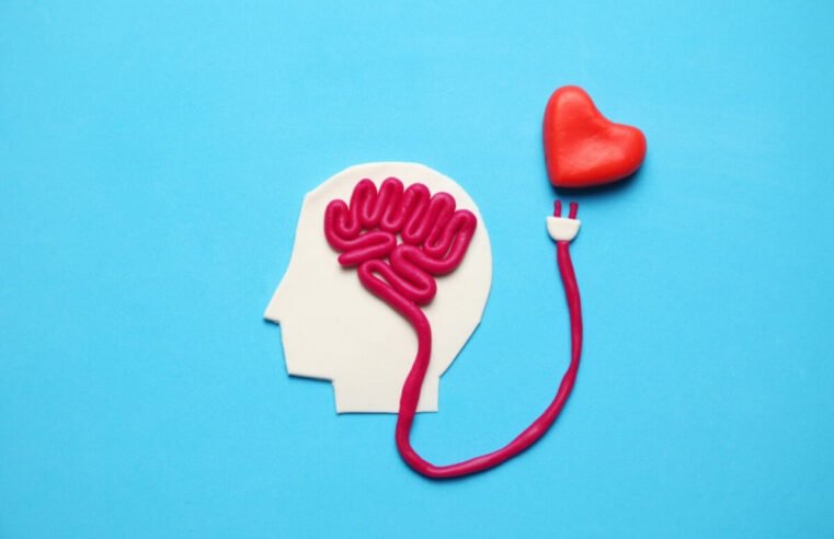 Veja como o coração e o cérebro influenciam a vida emocional