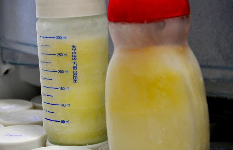 Distrito Federal envia 33 litros de leite materno ao Rio Grande do Sul